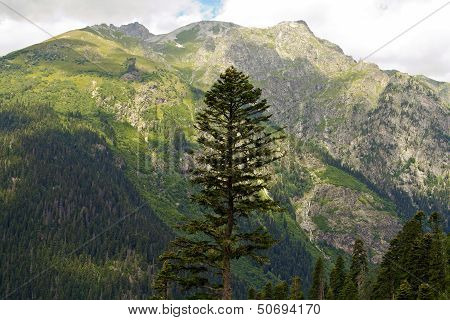Mountain peaks in Dombai. Summer in cloudy weather