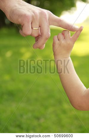 Parent Holds The Hand Of A Small Child