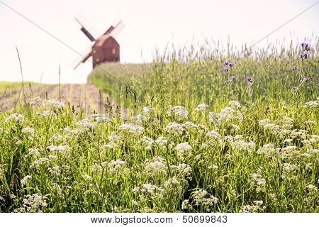 Green Fields And Windmill