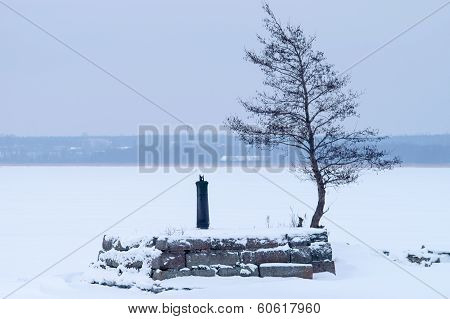 Lonely winter tree