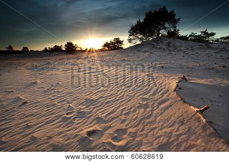 Gold Sunshine Over Sand Dunes