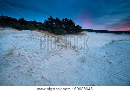 Purple Sunset Over Sand Dunes