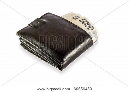 Czech Money