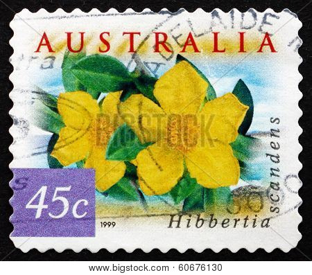 Postage Stamp Australia 1999 Snake Vine, Hibbertia Scandens