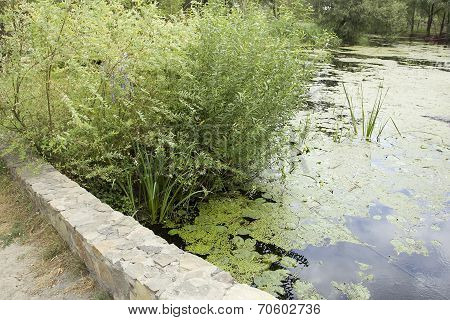 River With A Ramp