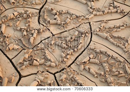 erosion of soil