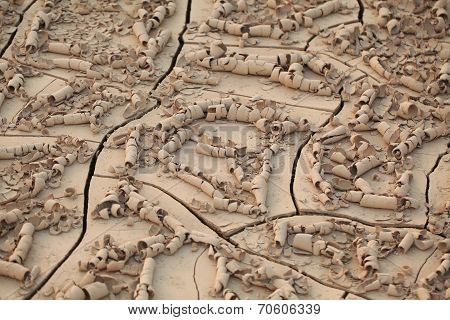 erosion of soil