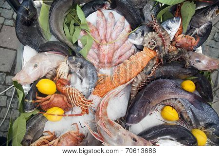 fresh fish on a tray