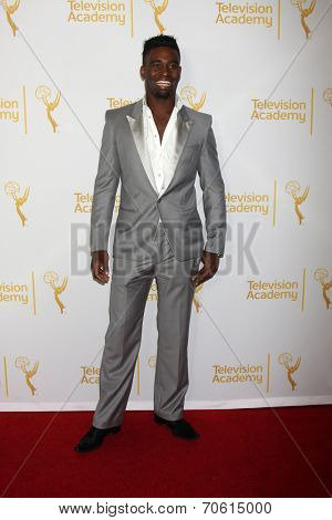 LOS ANGELES - AUG 22:  Keoikantse Motsepe of Dancing With The Stars at the Television AcademyÃ?ÃÂ¢??s Producers Peer Group Reception at London Hotel on August 22, 2014 in West Hollywood, CA