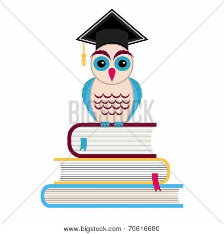 Graduation Cap And Owl