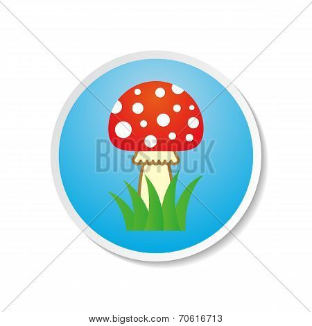 Amanita