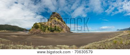 Beautiful Piha beach near Auckland with a mighty Lion Rock, New Zealand. Panoramic photo