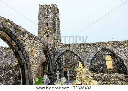 Kilcrea Friary In Co.cork, Ireland
