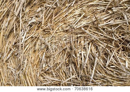 Straw background