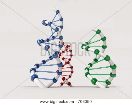 DNA