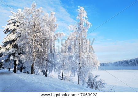 Riverside Of Vuoksi.  Imatra, Finland