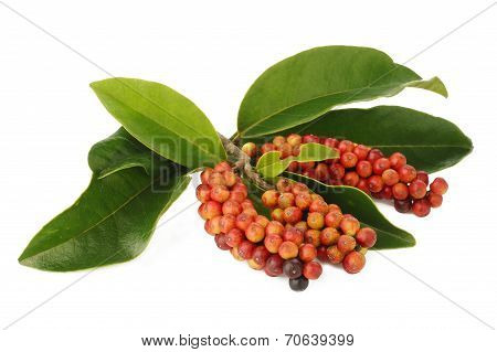 Thai Blueberry On White Background