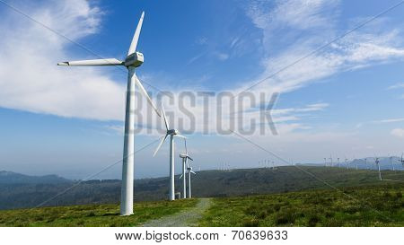 Wind Farm