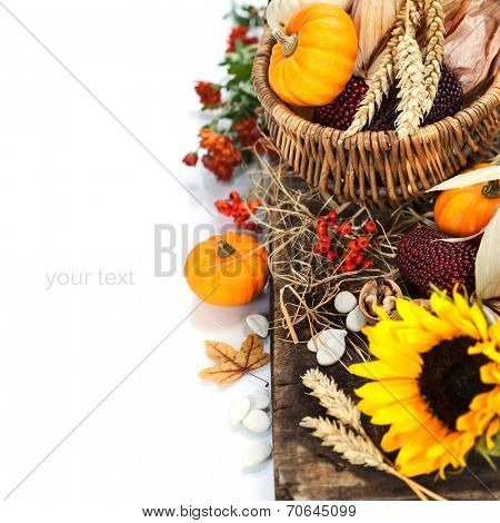 Autumn composition ( pumpkins and corn on old wooden table). Thanksgiving day concept