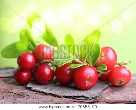 Forest berry cowberry with leaves against blurred green background.