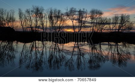 Winter Trees Water Sunset