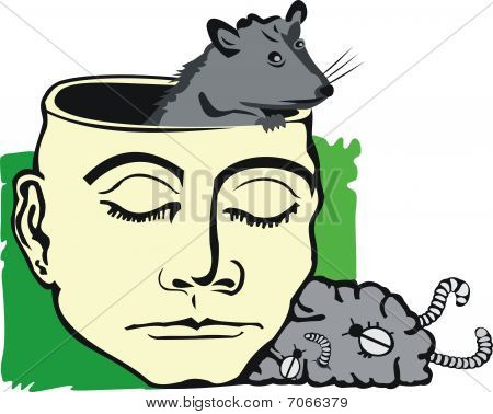 rat i hjärnan