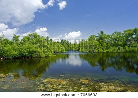 Fairchild tropiske botaniske have