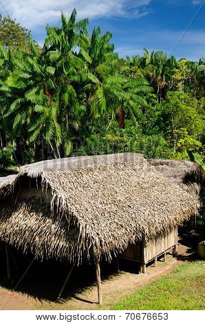 Amazon Indian Tribes In Colombia
