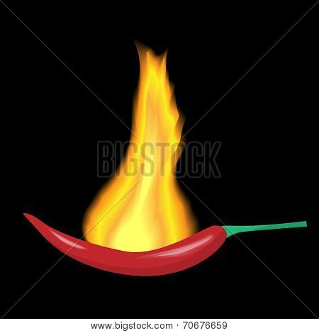 Chilli