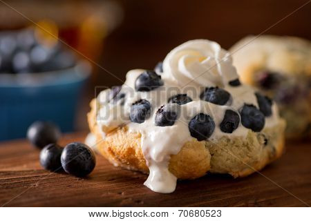 Blueberry Shortcake