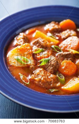 beef stew with potato and carrot in blue plate 