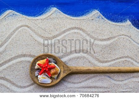 Shells Colored Spoon Beach Sand