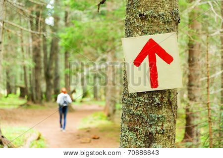 Path pointer