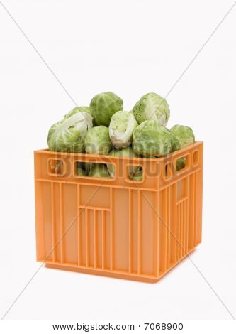 Choux de Bruxelles dans la Caisse