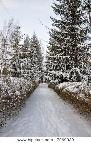 WINTER PARK
