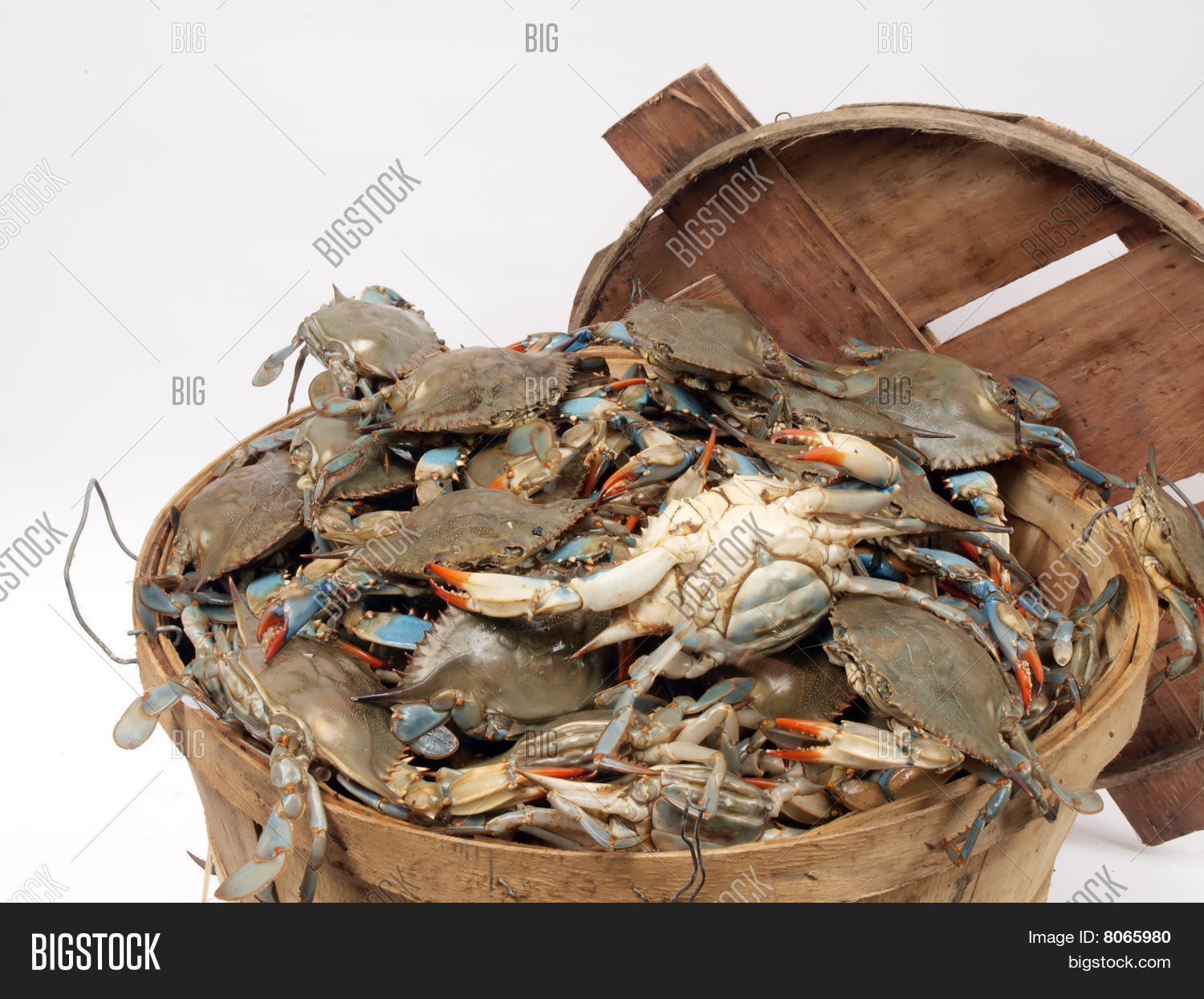 Bushel Basket Crabs Image & Photo (Free Trial) | Bigstock