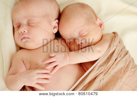 Sweet Twins
