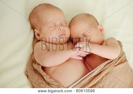 Sleeping Twins