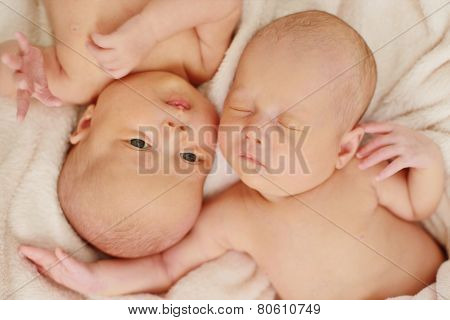 Twins