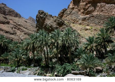 Oman bjerge