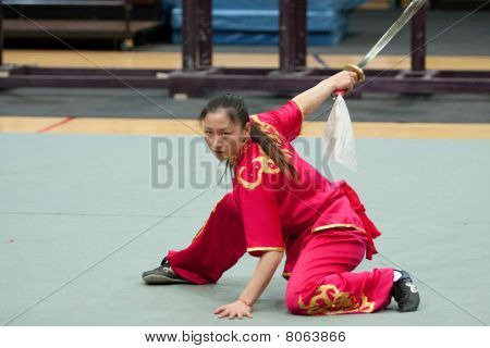 Kung Fu Heroes 2010 Italian Tour
