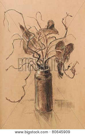 Branches In Vase