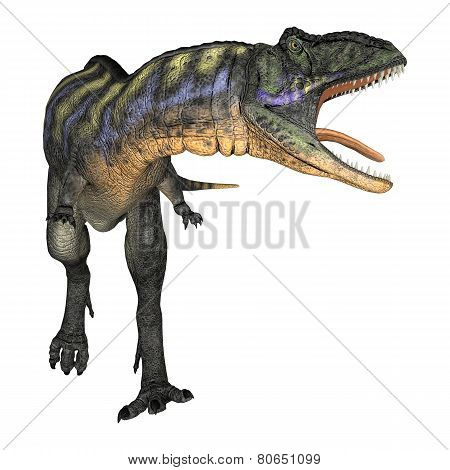 Dinosaur Aucasaurus