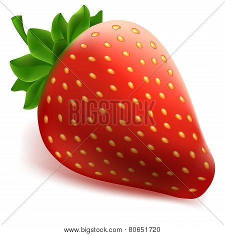Red strawberry