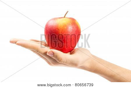 hand holding apple isolated on white background