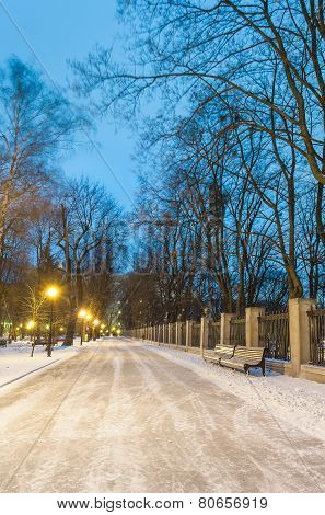 Footpath in a fabulous winter city park