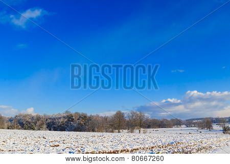 Winter Landscape View Fields Forests Covered Snow