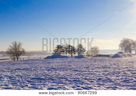 Winter Landscape View Fields Forests Covered Snow