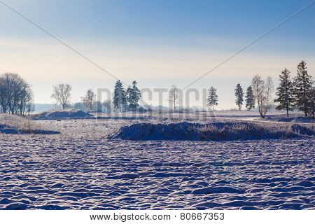 Winter Landscape View Fields Forests Covered Snow
