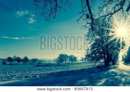 Winter Landscape View Fields Forests Covered Snow Rays Sun